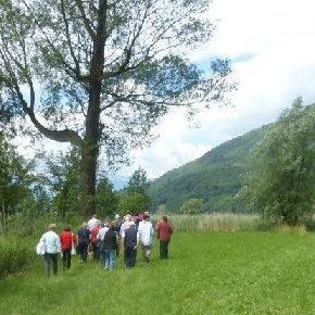 Passeggiate e visite culturali Passeggiate e visite culturali